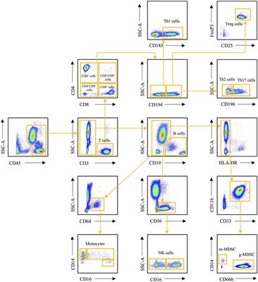 The effect of exercise and disease status on mobilization of anti-tumorigenic and pro-tumorigenic immune cells in women with breast cancer